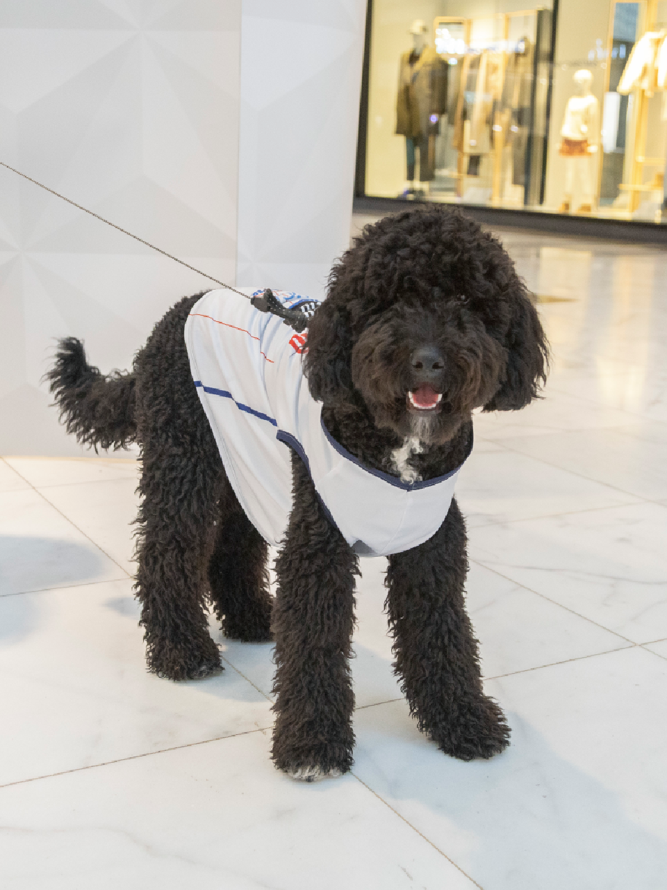 Mascotas 1ª Equipación (25/26)
