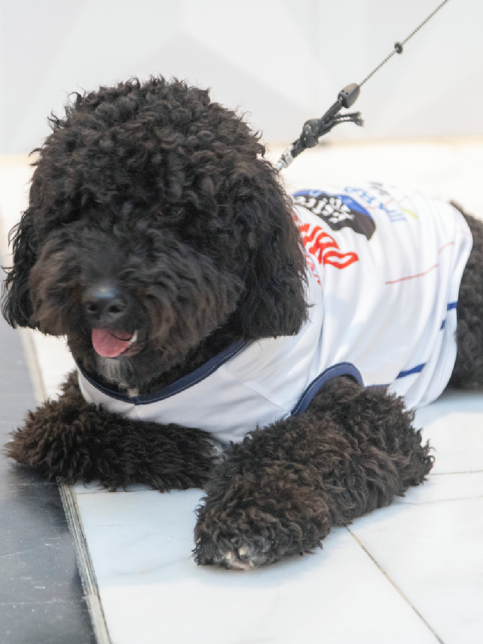 Mascotas 1ª Equipación (25/26)