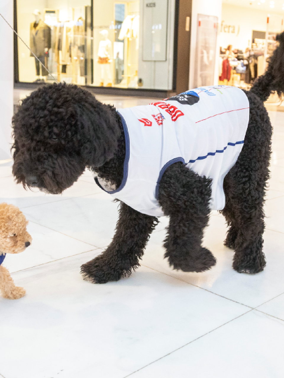 Mascotas 1ª Equipación (25/26)