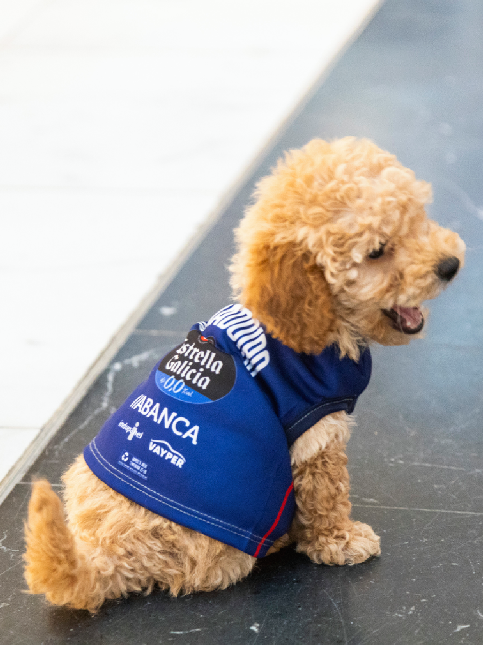 Mascotas 2ª Equipación (25/26)
