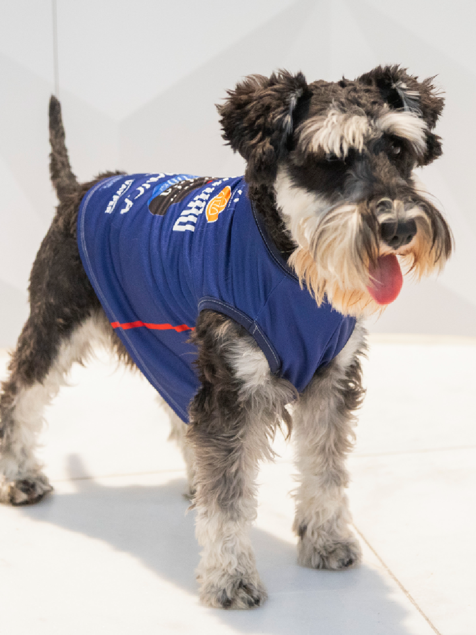 Mascotas 2ª Equipación (25/26)