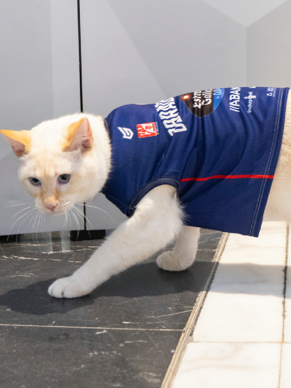 Mascotas 2ª Equipación (25/26)