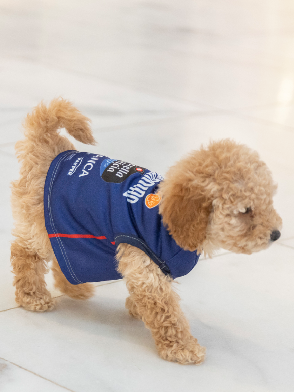 Mascotas 2ª Equipación (25/26)